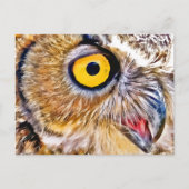 Owl Eye Postkarte (Vorderseite)