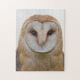 Owl Face Bird Wildlife Puzzle