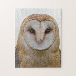 Owl Face Bird Wildlife Puzzle