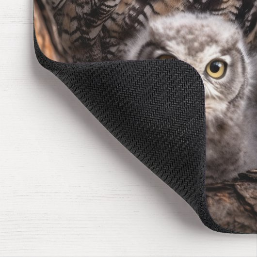 Owl Family Mousepad (Ecke)