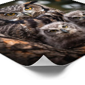 Owl Family Poster (Ecke)