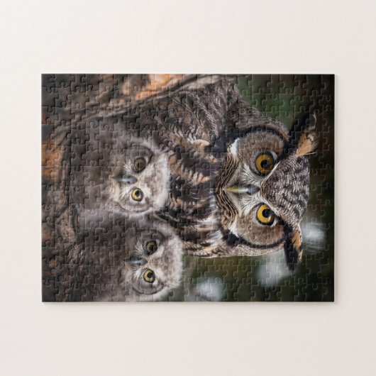 Owl Family Puzzle (Horizontal)