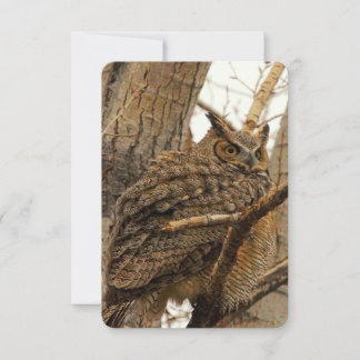 Owl Flat Notecard Dankeskarte
