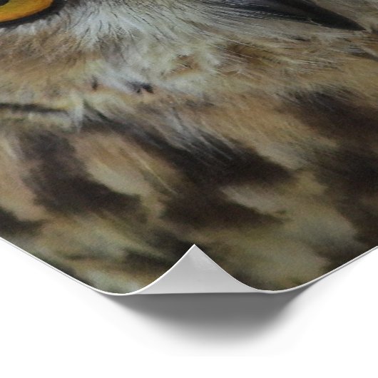 Owl Foto Poster Print (Ecke)