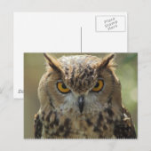 Owl Foto Postkarte (Vorne/Hinten)