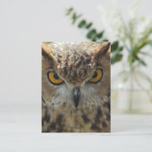 Owl Foto Postkarte (Stehend Vorderseite)