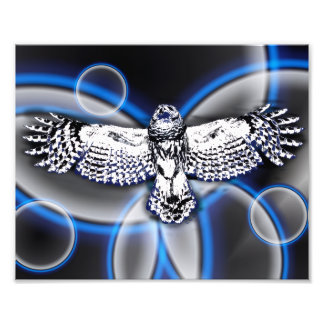 Owl Fotodruck