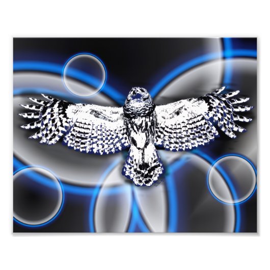 Owl Fotodruck (Vorne)