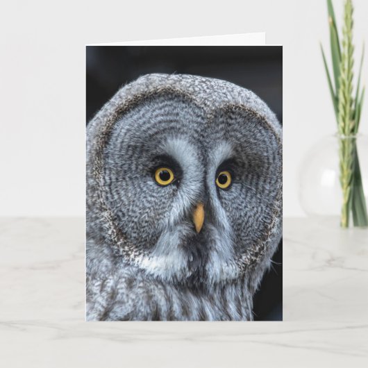OWL FUNNY NIEDLICHE GEBURTSTAG CARD KARTE (Vorderseite)