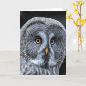 OWL FUNNY NIEDLICHE GEBURTSTAG CARD KARTE (Gelbe Blume)