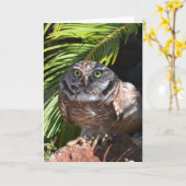 Owl greeting card - blank karte (Gelbe Blume)