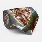 Owl Hoo Krawatte (Gerollt)