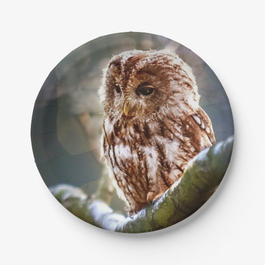 Owl Hoo Pappteller (Vorderseite)