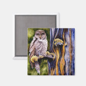 Owl Hoo's Look'n Magnet (Vorderseite/Rückseite)