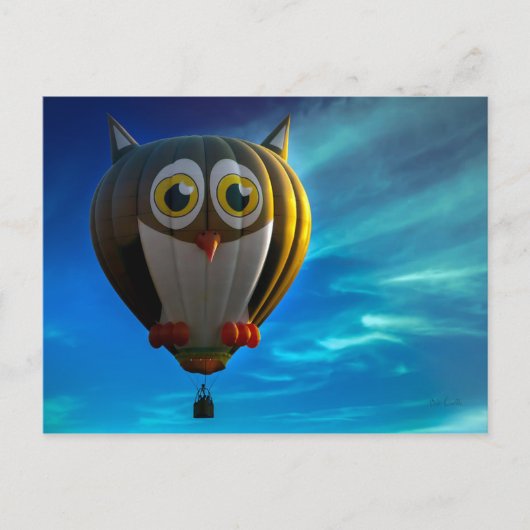 Owl Hot Air Ballon Postkarte (Vorderseite)