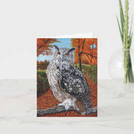 Owl in Autumn Forest Fine Art
