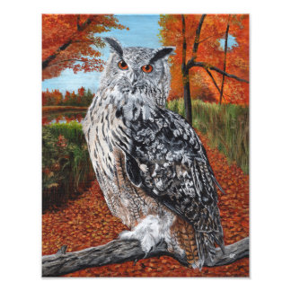 Owl in Autumn Forest Fine Art Fotodruck