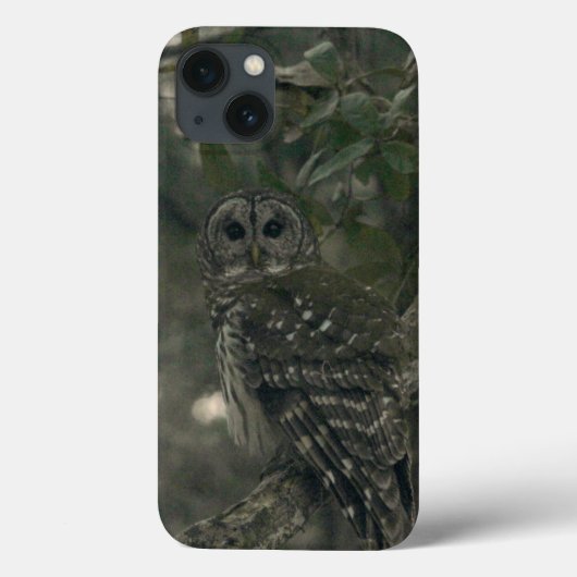 Owl in Forest IPhone Fälle Case-Mate iPhone Hülle (Rückseite)