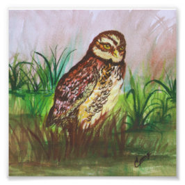 Owl in nature watercolor art fotodruck
