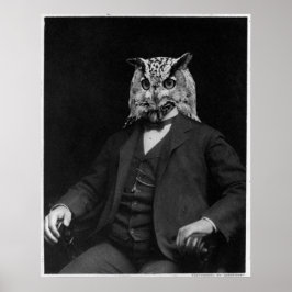 Owl Inventar Poster