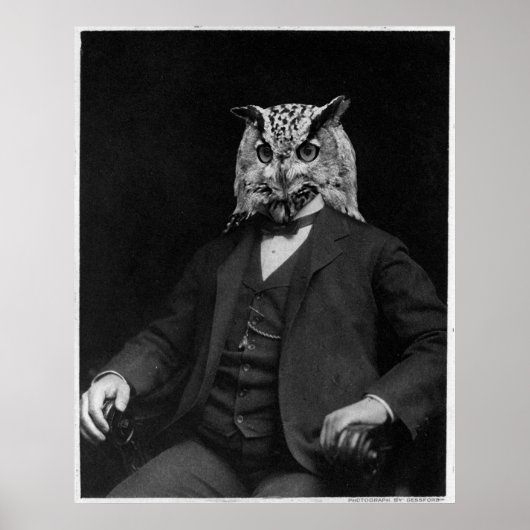 Owl Inventar Poster (Vorne)