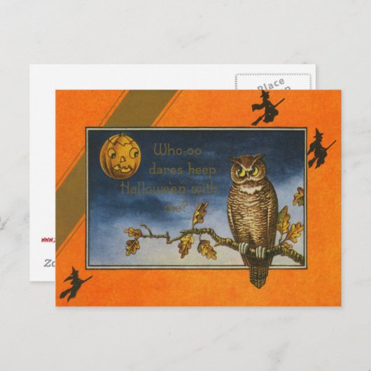 Owl Jack O Lantern Pumpkin Postkarte (Vorne/Hinten)