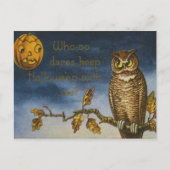 Owl Jack O Lantern Pumpkin Postkarte (Vorderseite)