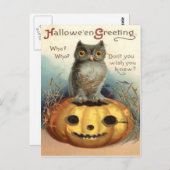 Owl Jack O Lantern Pumpkin Postkarte (Vorne/Hinten)