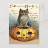 Owl Jack O Lantern Pumpkin Postkarte (Vorderseite)