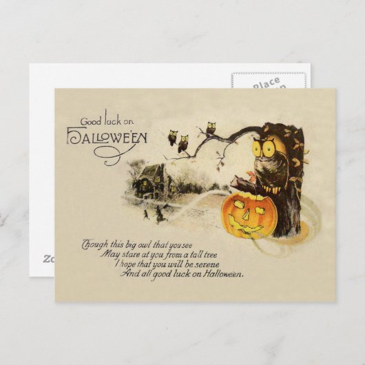 Owl Jack O' Lantern Pumpkin Tree Postkarte (Vorne/Hinten)