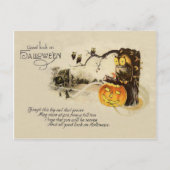 Owl Jack O' Lantern Pumpkin Tree Postkarte (Vorderseite)