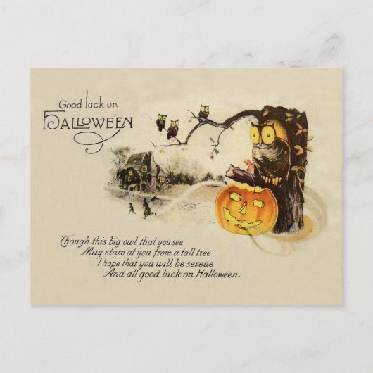 Owl Jack O' Lantern Pumpkin Tree Postkarte (Vorderseite)