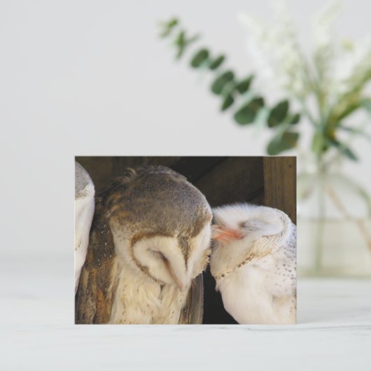 Owl Kisses! Postkarte (Stehend Vorderseite)