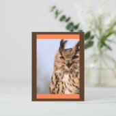 Owl Lächelnd Postkarte (Stehend Vorderseite)