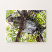 Owl Look von Branch Puzzle (Horizontal)