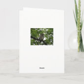 Owl Luv Karte (Rückseite)