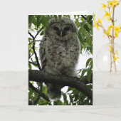 Owl Luv Karte (Gelbe Blume)