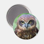 Owl Magnet (Vorderseite/Rückseite)