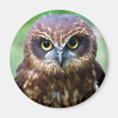 Owl Magnet (Vorne)