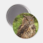 Owl Magnet (Vorderseite/Rückseite)