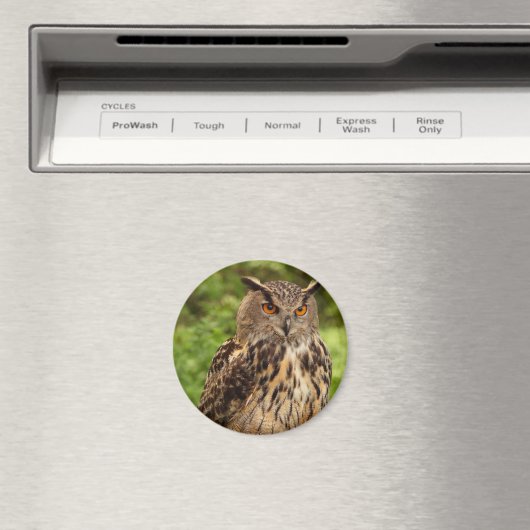 Owl Magnet (In Situ (Geschirrspüler))