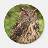 Owl Magnet (Vorne)