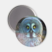 Owl Magnet (Vorderseite/Rückseite)