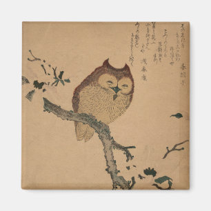 Owl & Magnolia: Japanisch Ukiyo-e Magnet