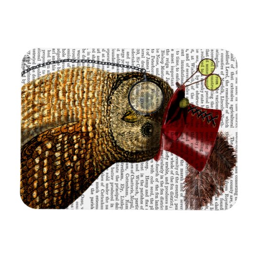 Owl mit Top Hat 3 Magnet (Horizontal)