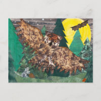 Owl Moon Night Songs