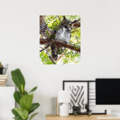 Owl nach unten von Zweig schauend Poster (Heimbüro)