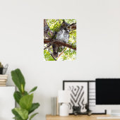 Owl nach unten von Zweig schauend Poster (Heimbüro)