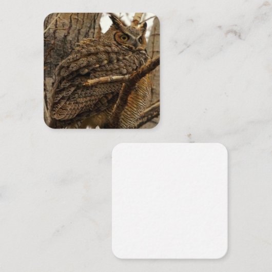 Owl Note Card Mitteilungskarte (Vorne/Hinten)