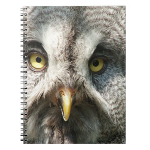 Owl Notebok Notizblock